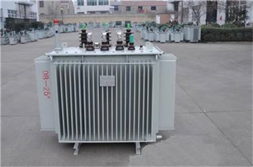庆阳S13-800KV油浸式变压器厂家